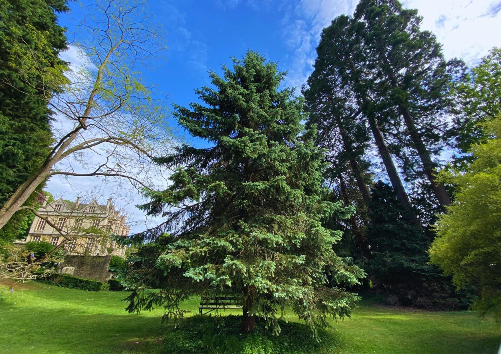 The Hall - Historic Grade I-Listed Jacobean Mansion ブラッドフォード・オン・エイヴォン エクステリア 写真